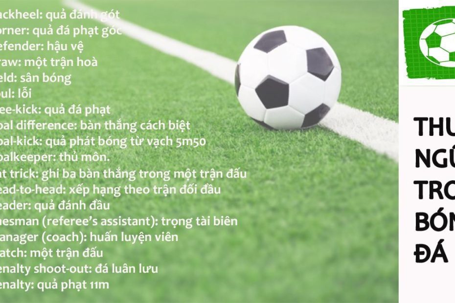 100+ Các thuật ngữ bóng đá trong Tiếng Anh đầy đủ nhất